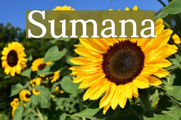Sumana Font examples
