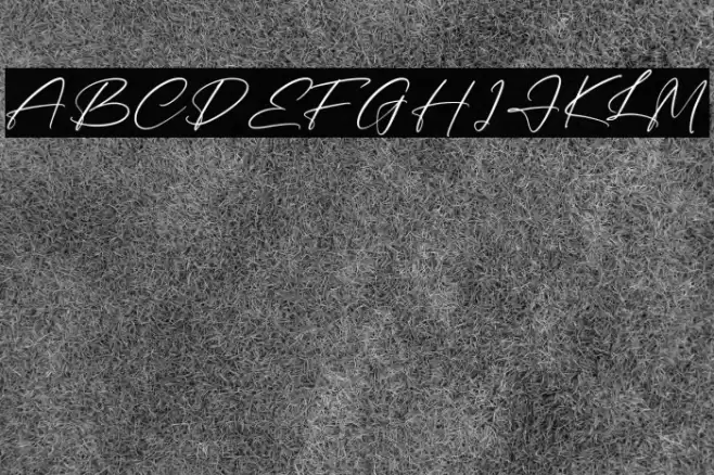 Sumattera خط examples