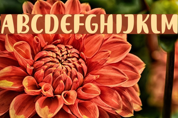 Sumber Jaya Font examples