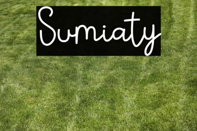 Sumiaty Example 1