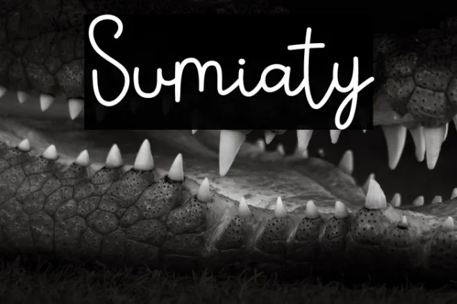 Sumiaty Example 2