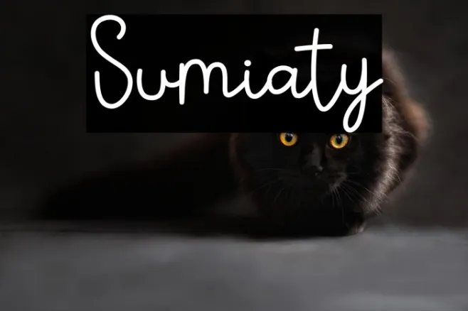 Sumiaty Example 3