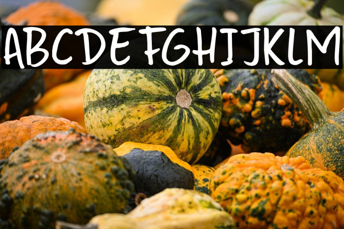 Sumida Script DEMO Regular Example 2