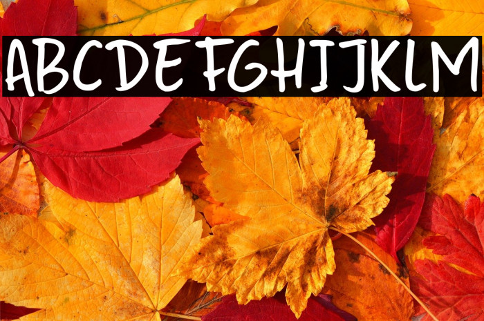 Sumida Script DEMO Regular Example 3