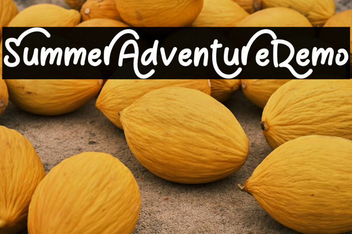 Summer Adventure Demo Example 1