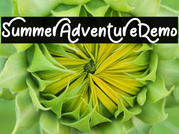 Summer Adventure Demo Example 2