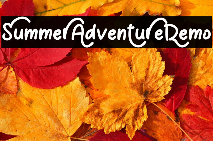 Summer Adventure Demo Example 3