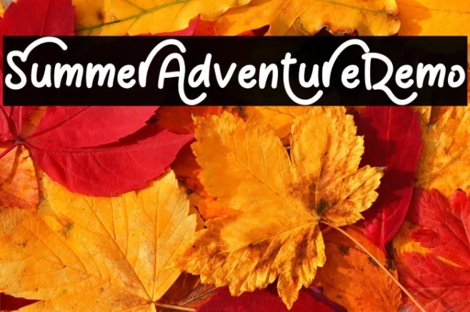 Summer Adventure Demo Example 3