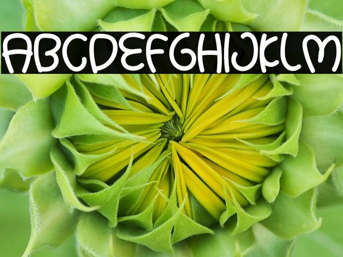 Summer Baby Example 1