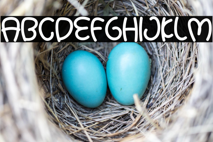 Summer Baby Example 3