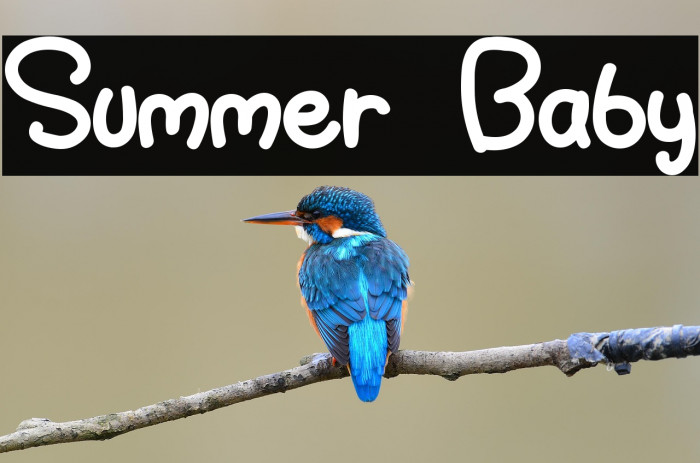 Summer Baby Example 2