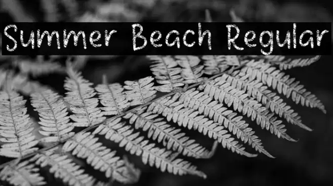 Summer Beach Regular Font examples