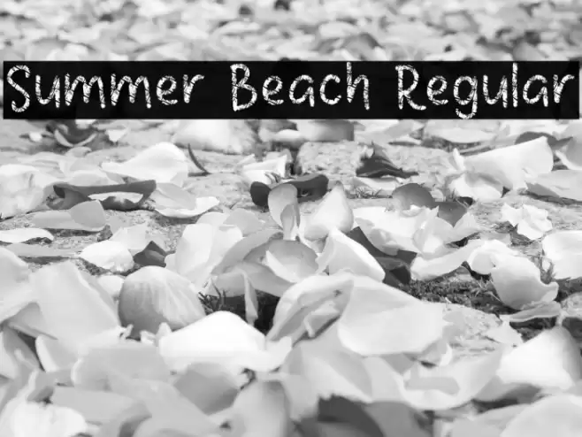 Summer Beach Regular Font examples