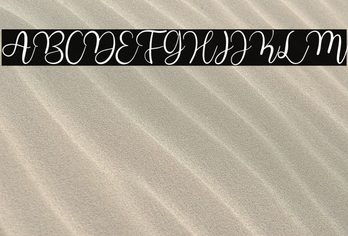 Summer Beach Example 3