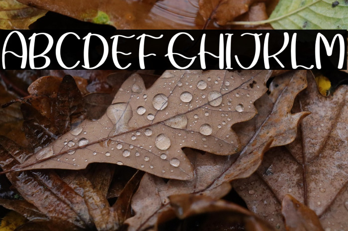 Summer Beach Example 3