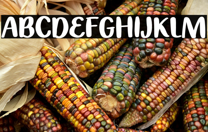 Summer Bike Polices examples