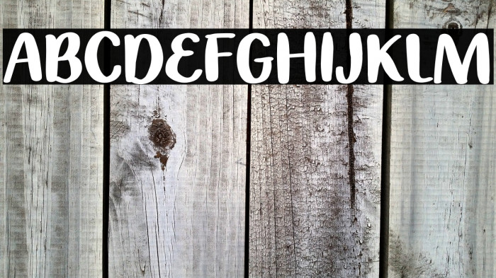 Summer Bike Polices examples