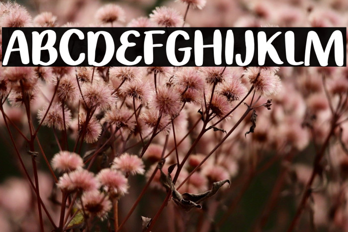 Summer Bike Polices examples