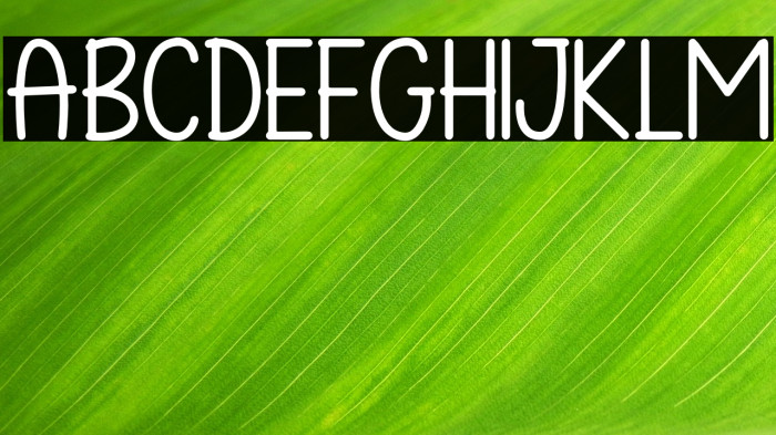 Summer Butterfly Example 2