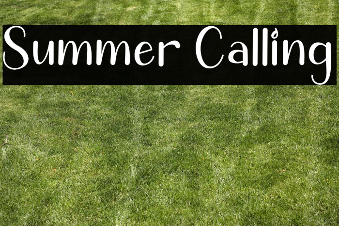 Summer Calling Example 3