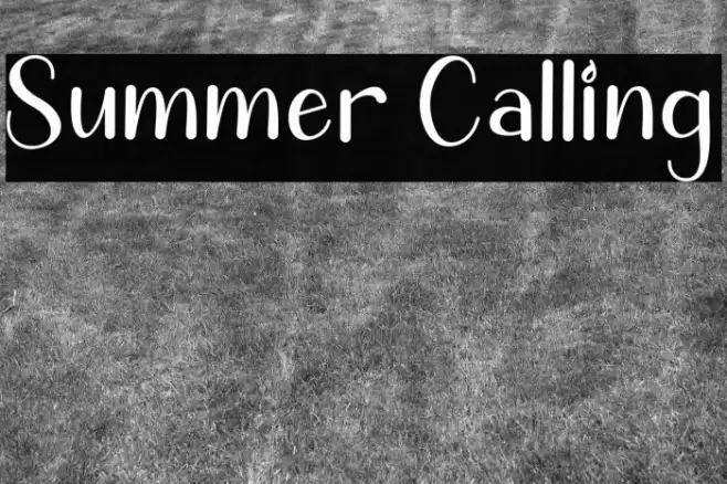 Summer Calling Font examples