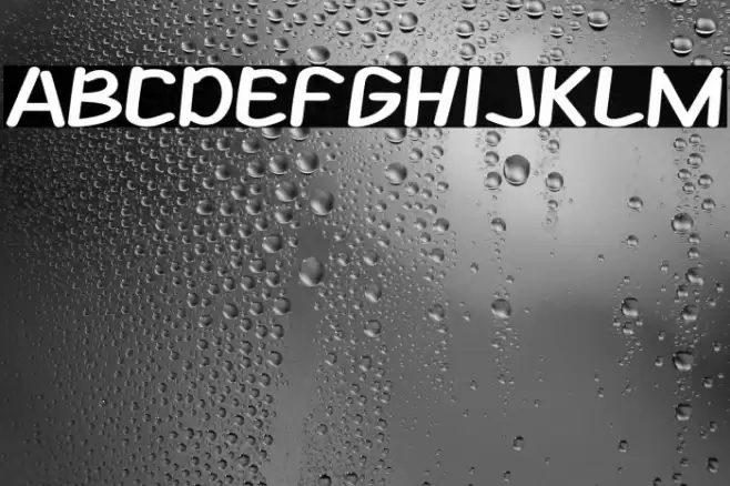 Summer Camp Polices examples