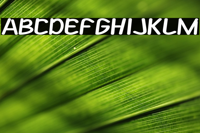 Summer Camp Example 2