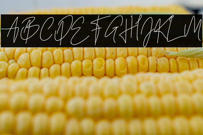 Summer Cherry Example 2