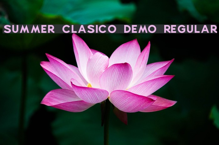 Summer Clasico DEMO Regular Font examples