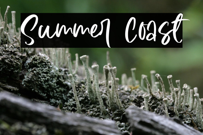 Summer Coast Example 2