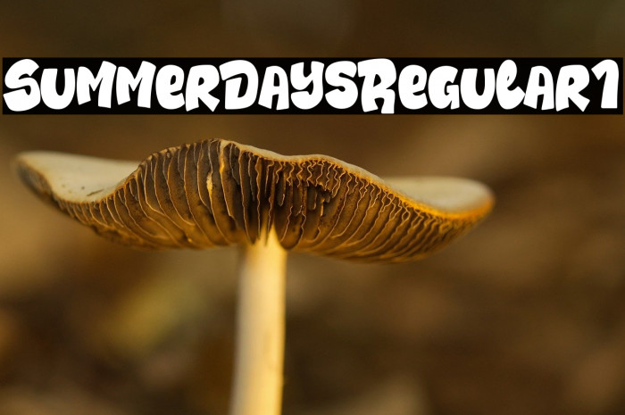 Summer Days Regular1 Example 2