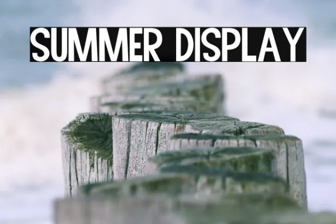 Summer Display Example 2