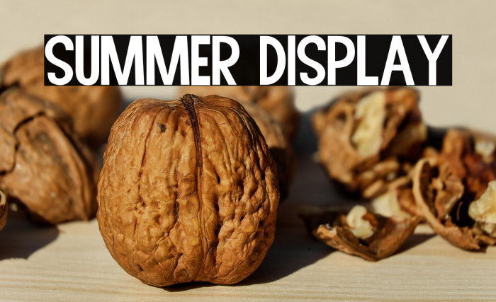 Summer Display Example 3