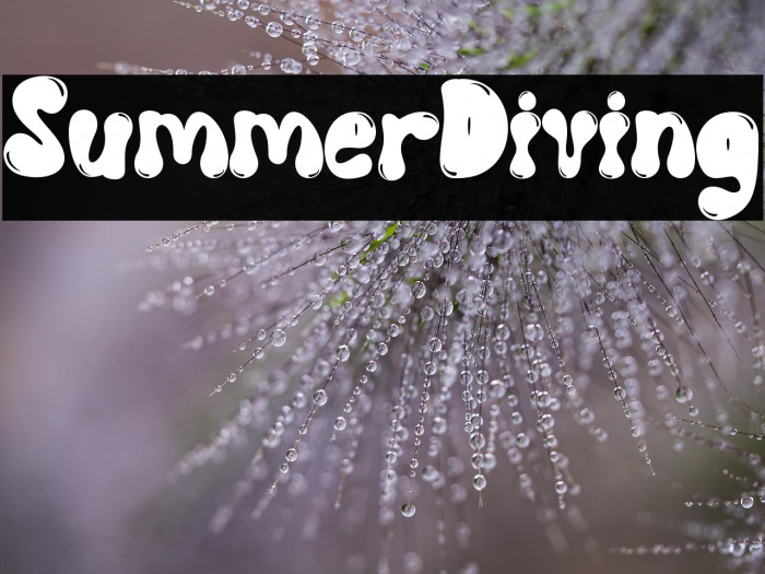 Summer Diving Example 2