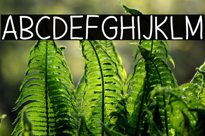 Summer Dreams Example 2