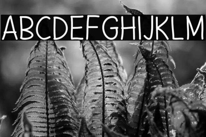 Summer Dreams Font examples