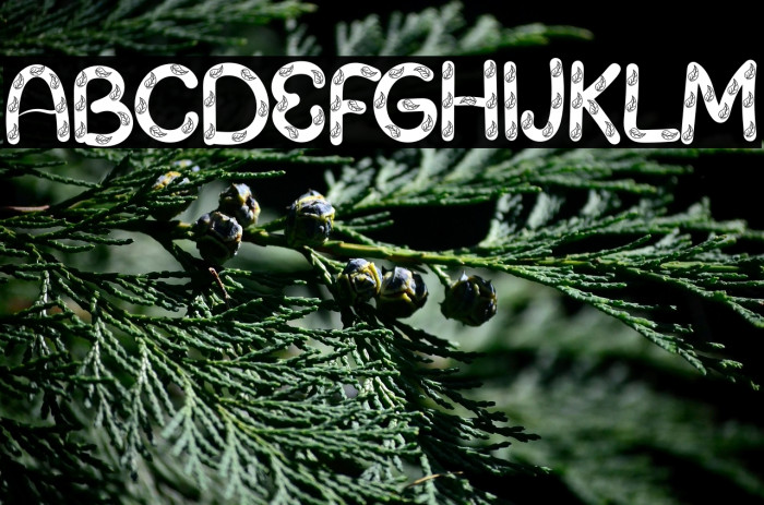 Summer Farmhouse Example 3