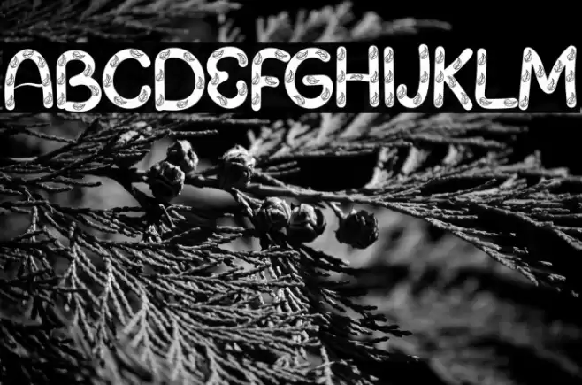 Summer Farmhouse Font examples