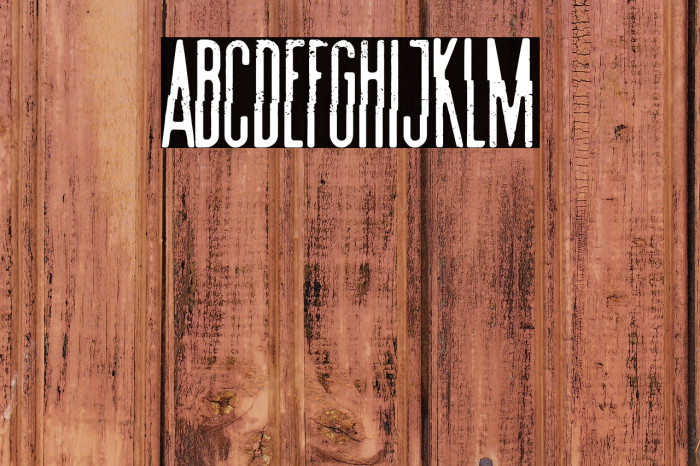 Summer Film Festival Example 2