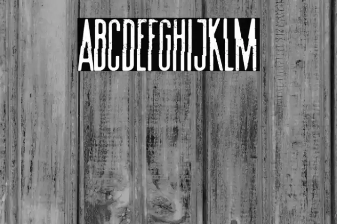 Summer Film Festival Font examples