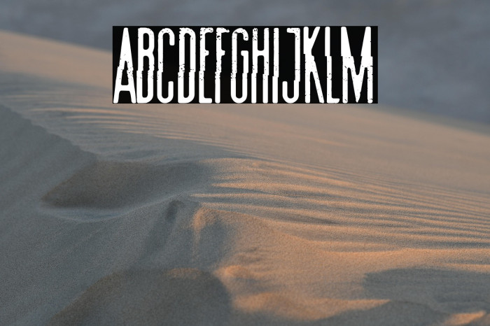 Summer Film Festival Example 3