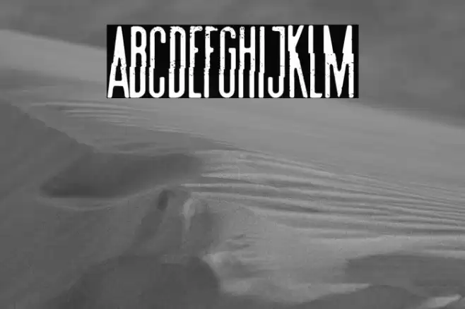 Summer Film Festival Font examples