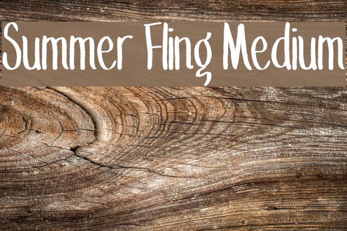 Summer Fling Medium Font examples
