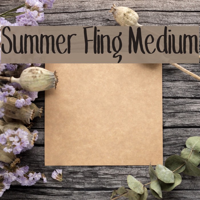 Summer Fling Medium Font examples