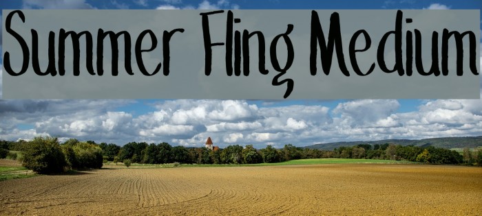 Summer Fling Medium Font examples