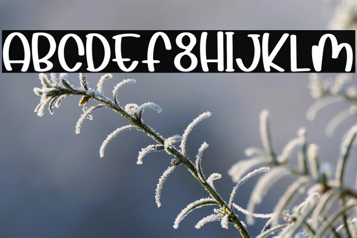 Summer Flowers Example 1