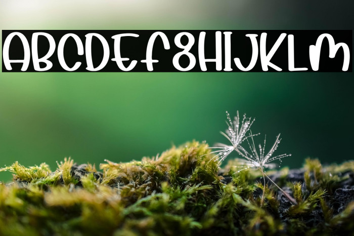 Summer Flowers Example 2