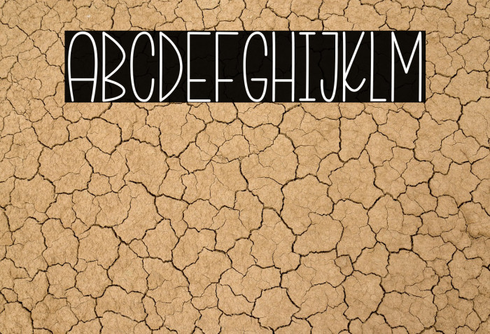 Summer Flowers Example 1