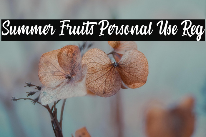 Summer Fruits Personal Use Reg Example 1