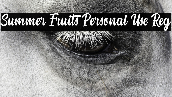 Summer Fruits Personal Use Reg Example 3